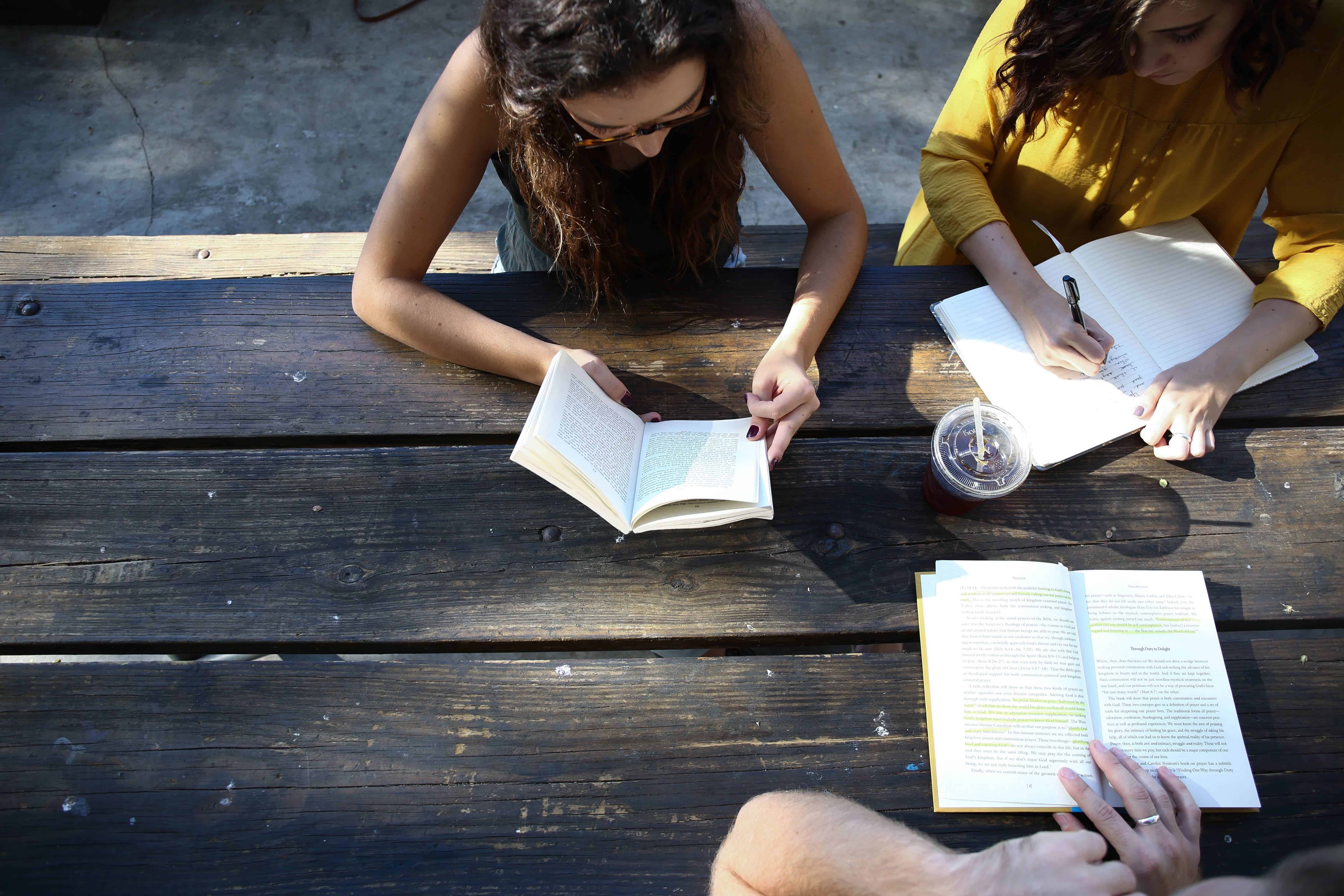 Students studying on benches