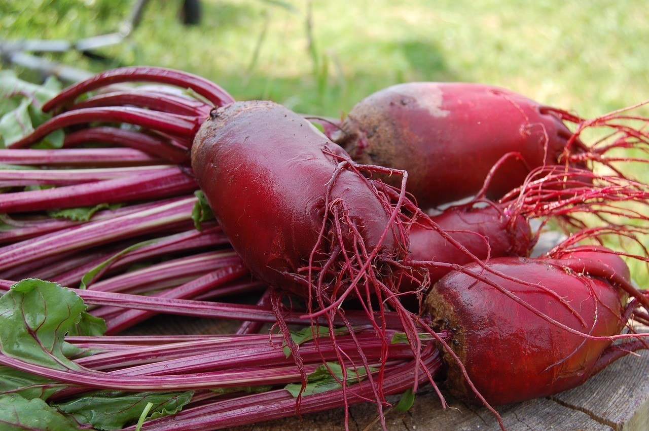 Beetroot
