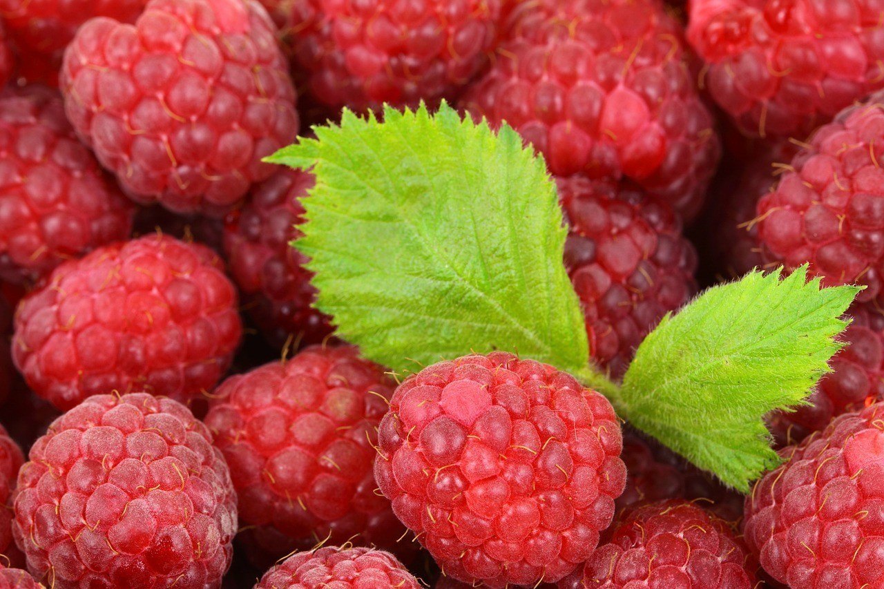 raspberry