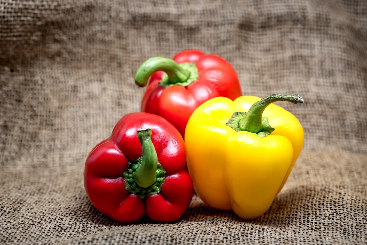 Cannellini Bean and Capsicum Soup