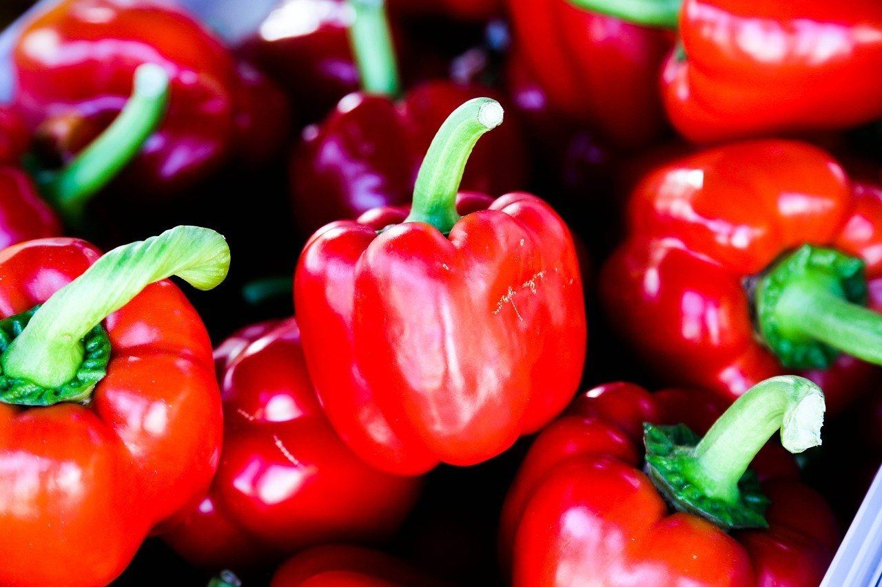 capsicum