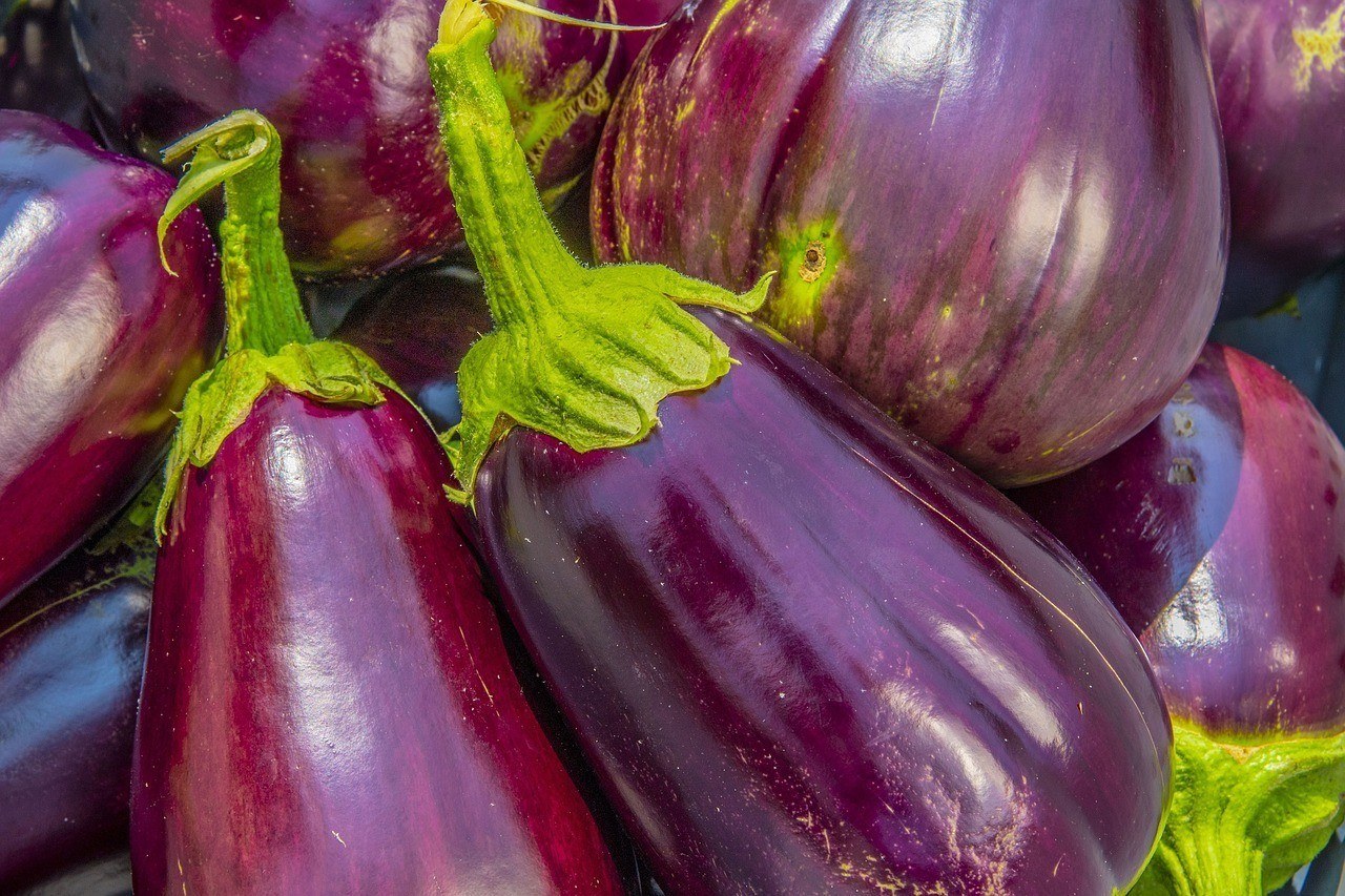 eggplant 2