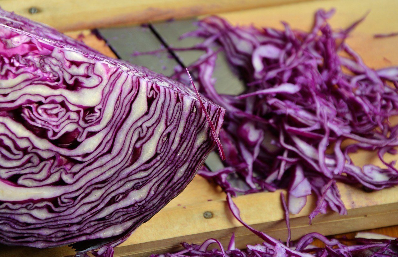 red-cabbage