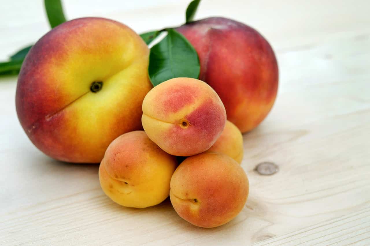Apricots