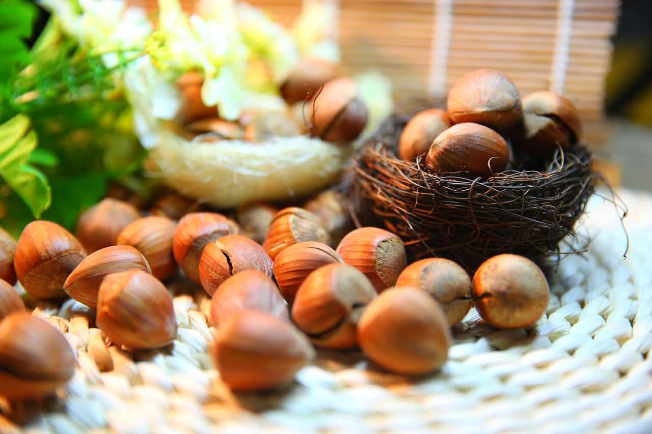hazelnut
