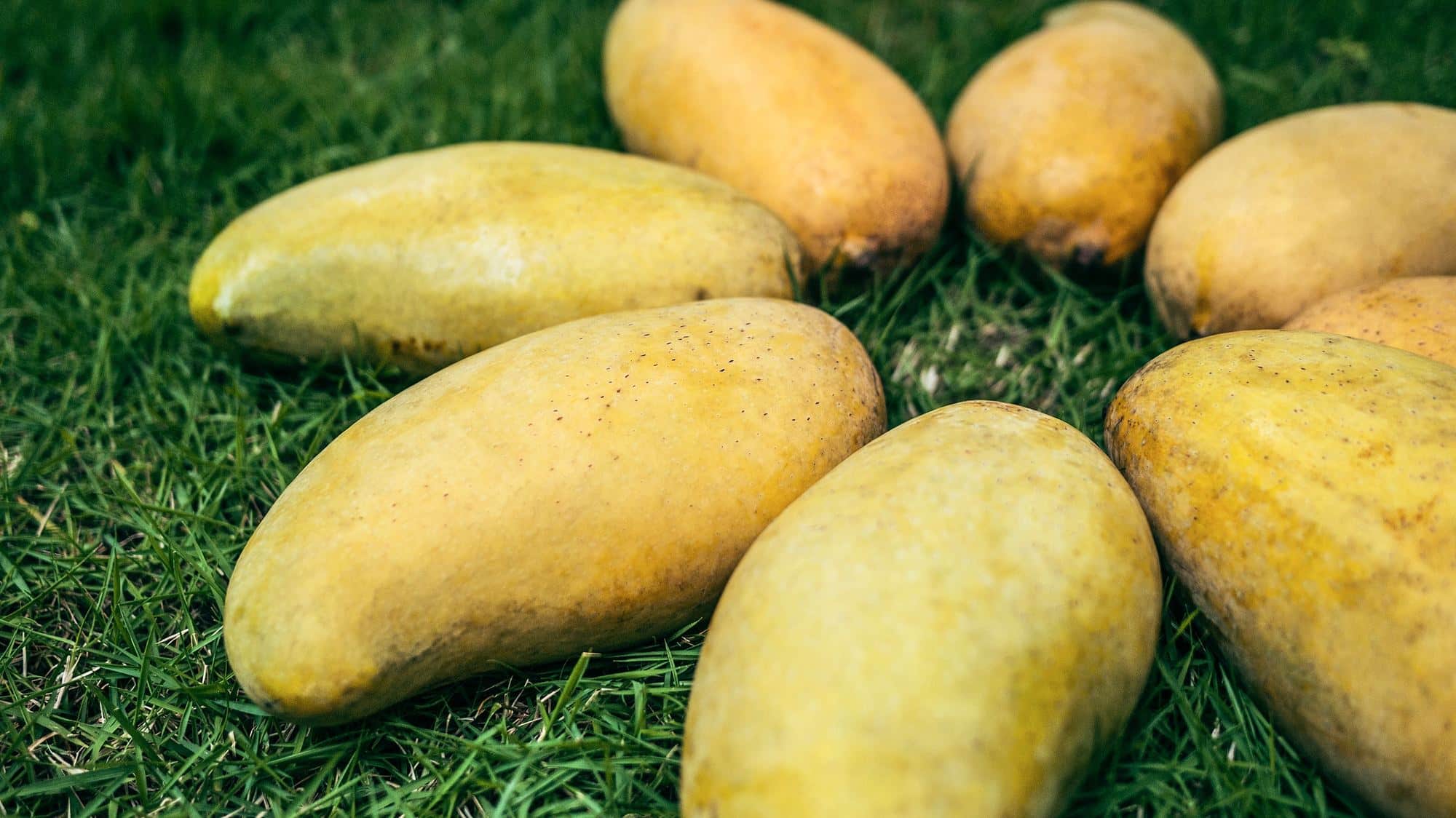 Mangoes