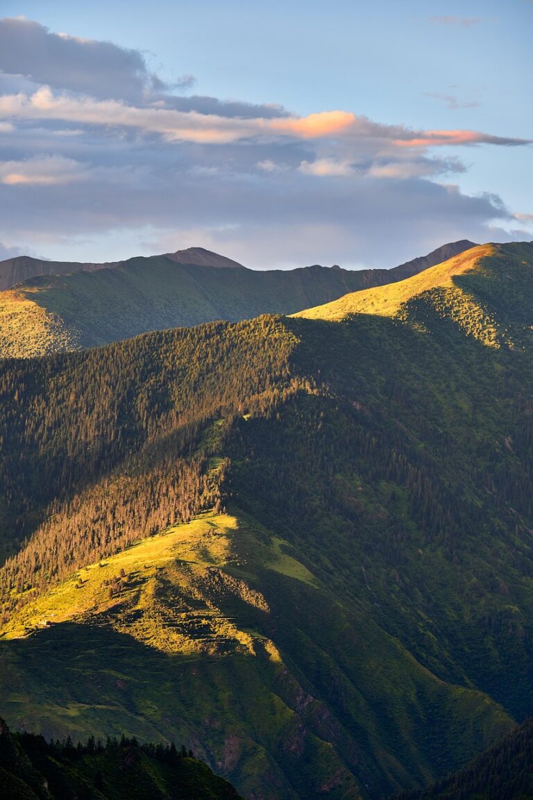 High ground above the treeline