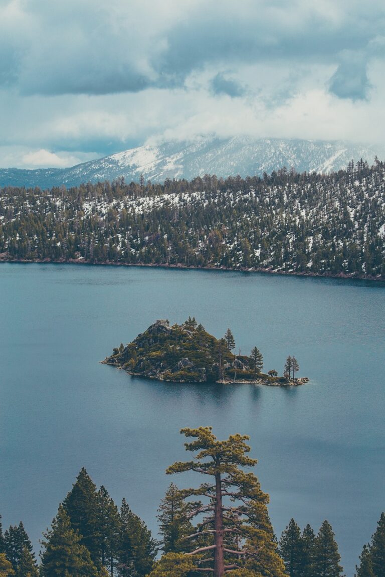 High ground above the treeline