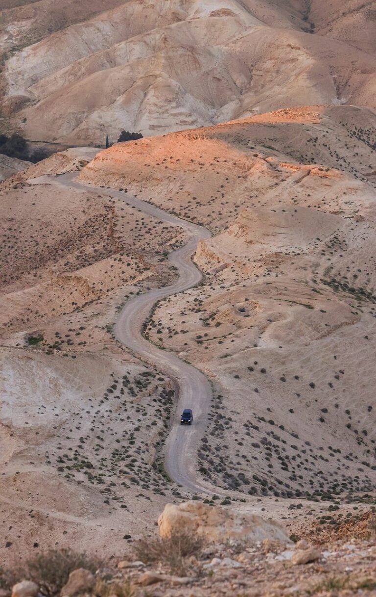 An empty road running to the horizon