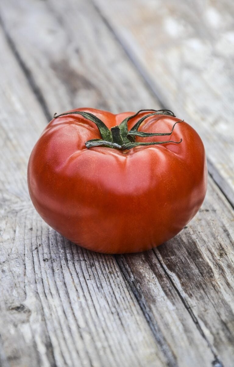 Raw ingredients before preparation