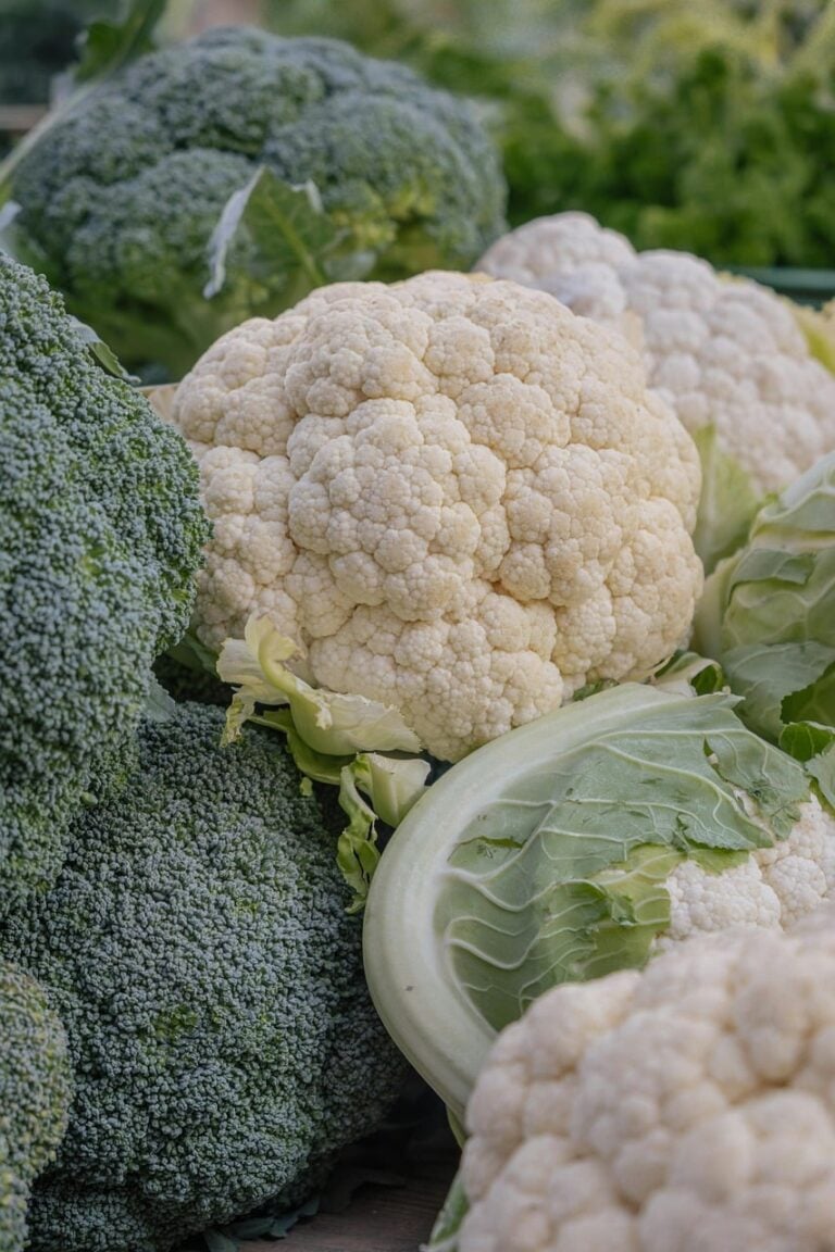 Fresh vegetables laid out whole