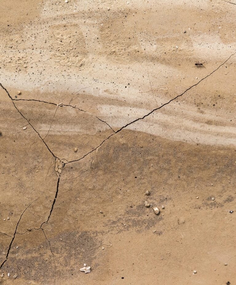 Dry ground cracked open by drought