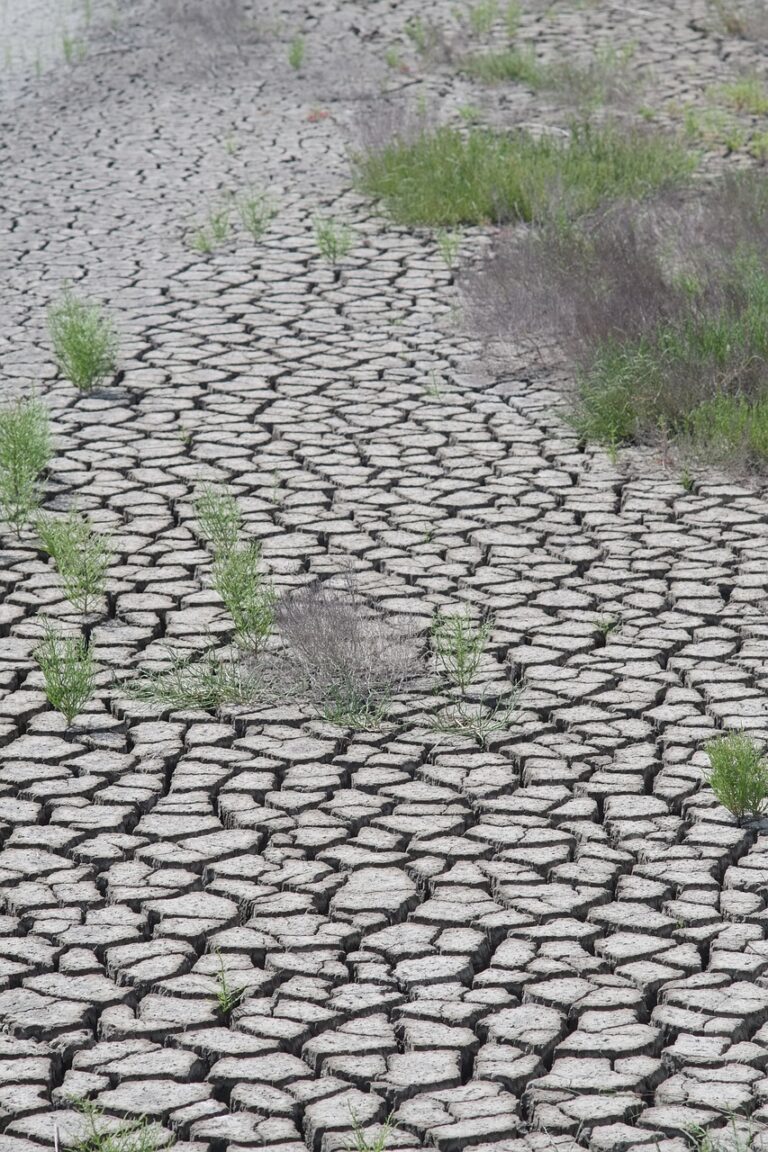 Dry ground cracked open by drought