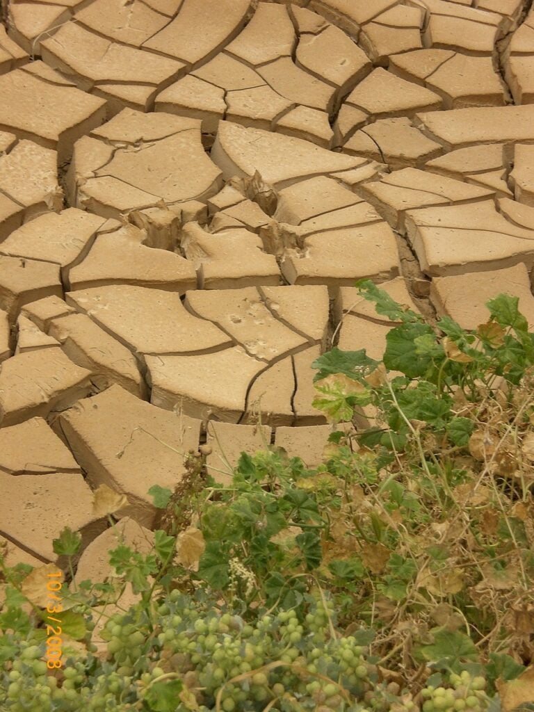 Dry ground cracked open by drought