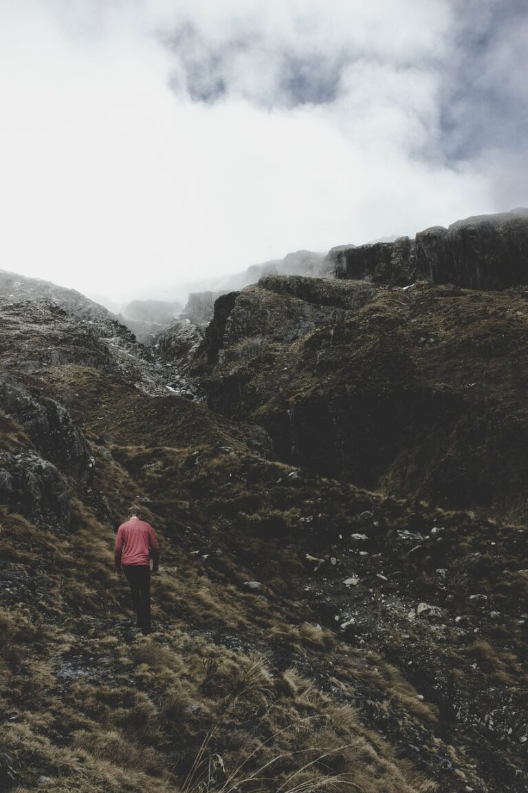 A mountain ridge leading to the summit
