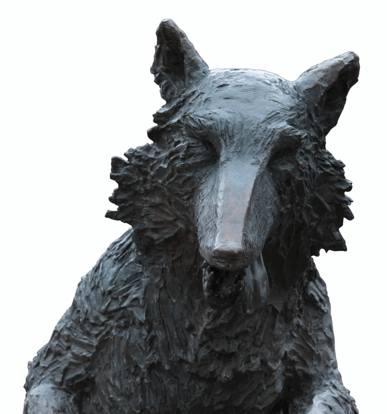 A lone wolf on open ground