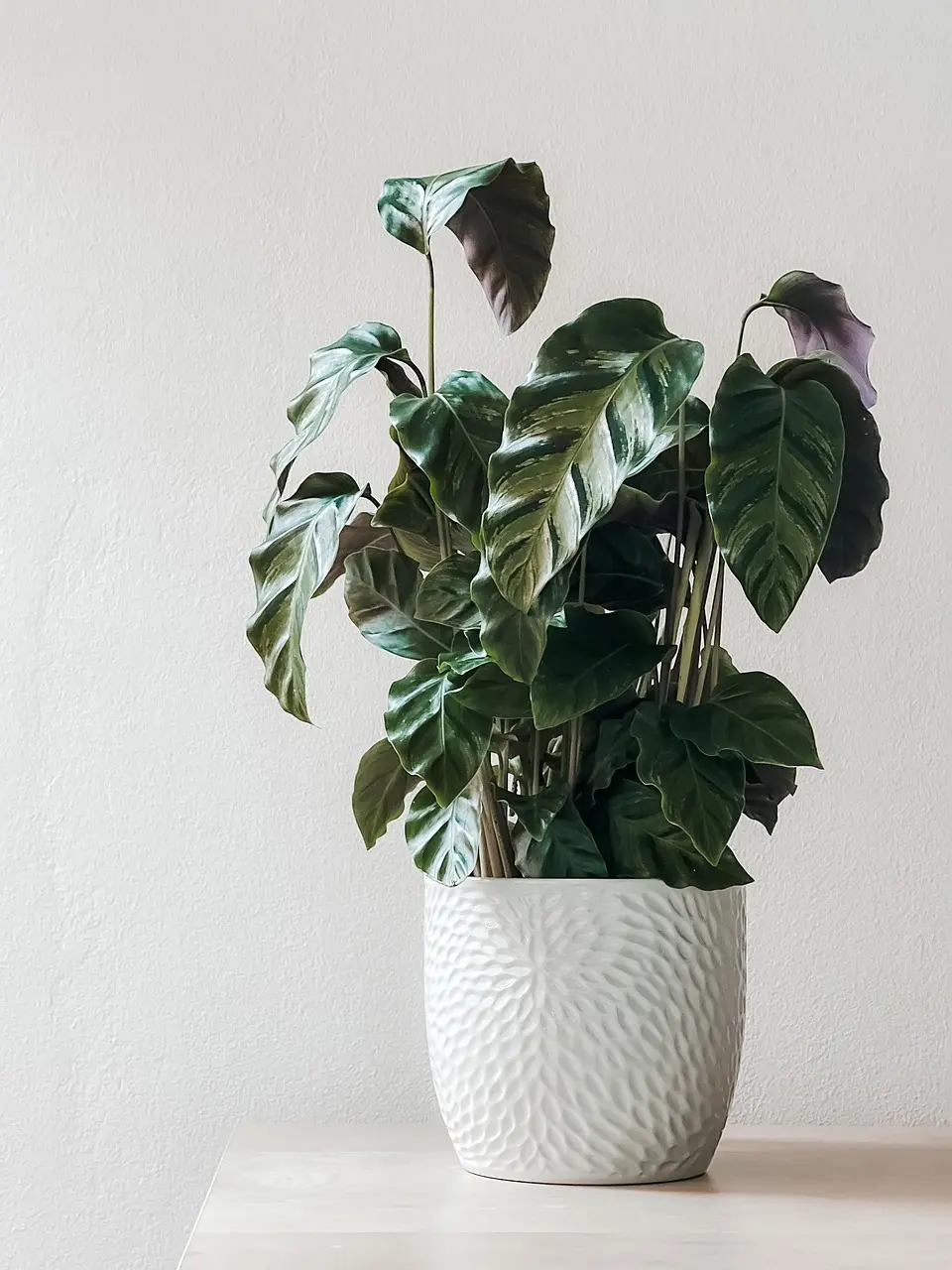 A simple, uncluttered home interior, symbolizing a minimalist lifestyle's lighter ecological footprint
