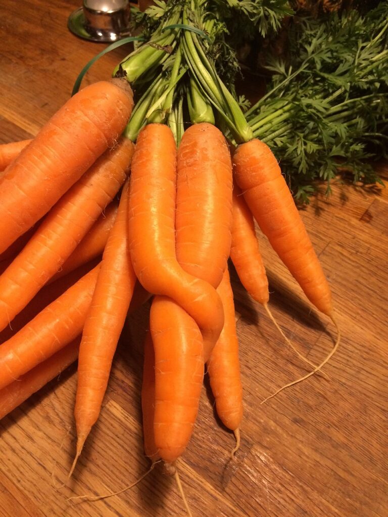 Fresh vegetables laid out whole