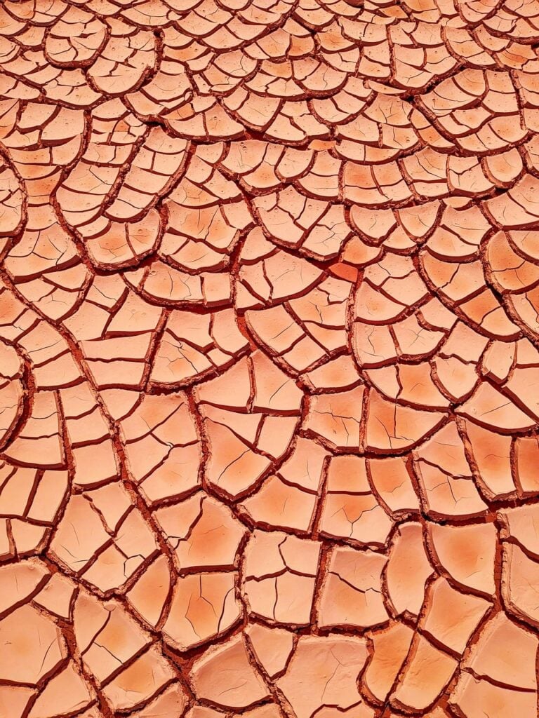 Parched earth split into plates