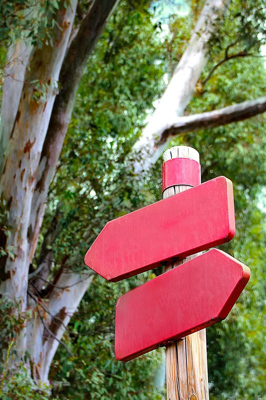 Man at a decision point, symbolizing the career-crossroads case study in reframing a setback