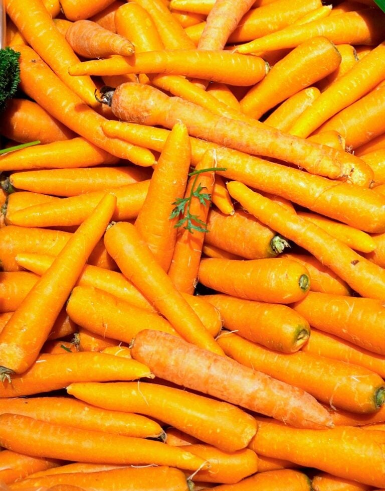 Fresh vegetables laid out whole