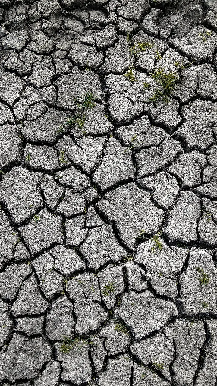 Parched earth split into plates