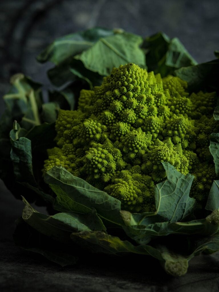 Unprocessed produce, plainly laid out