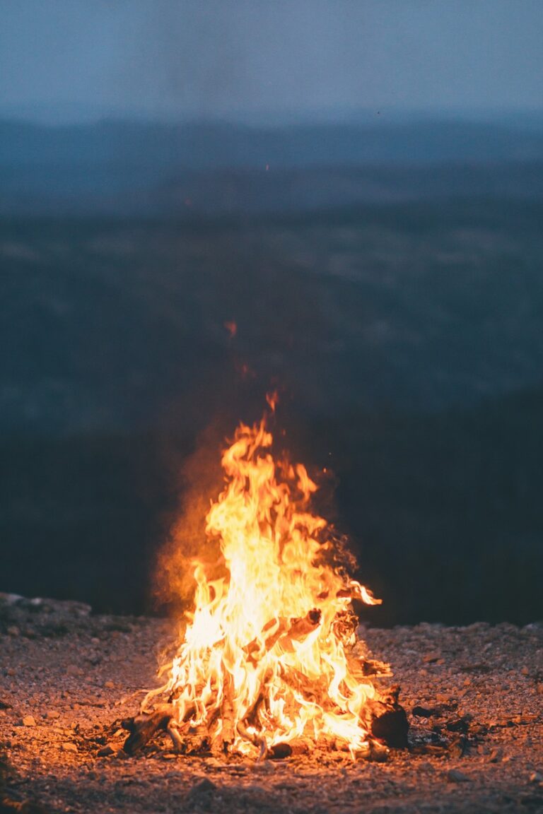 A campfire burning after dark
