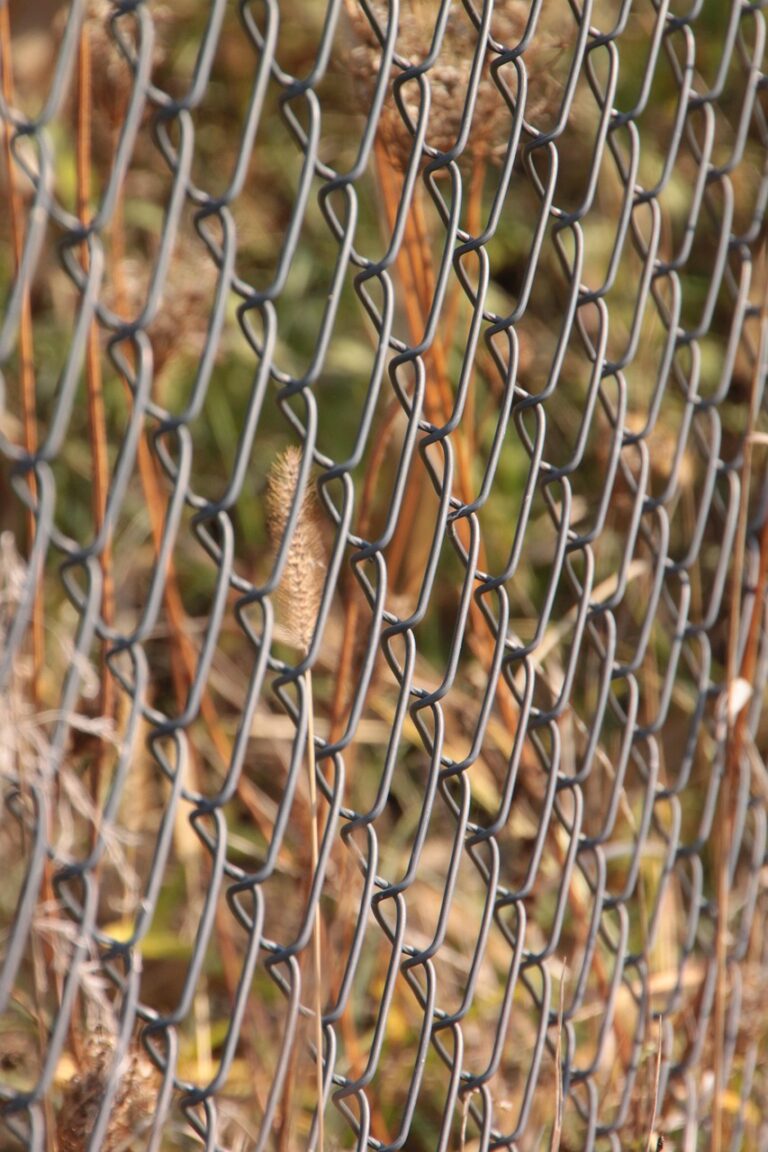 A heavy chain at its limit