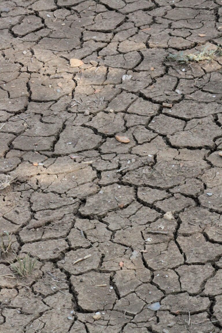 Dry ground cracked open by drought
