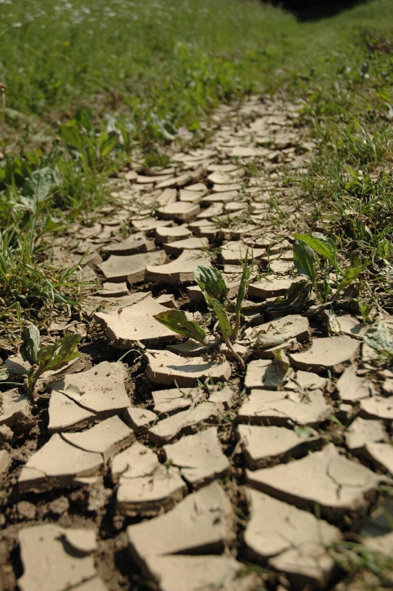 Hard ground broken by long drought