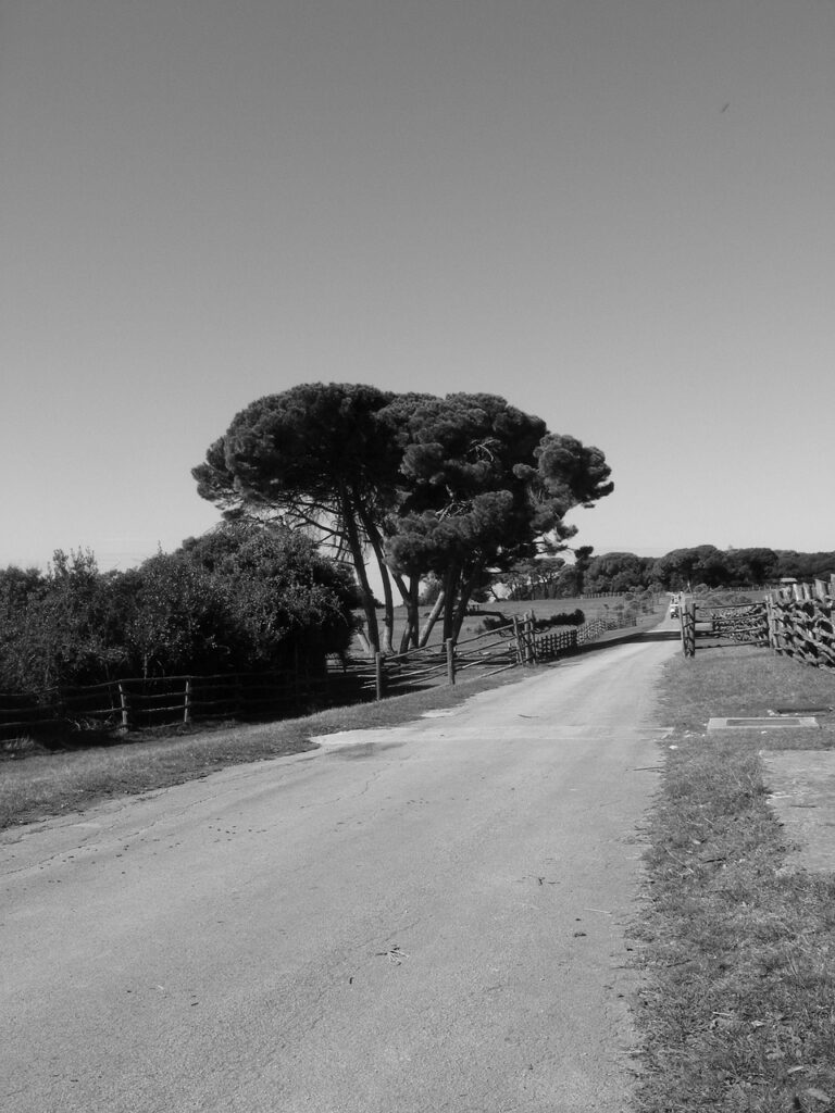 A long road with nothing on it