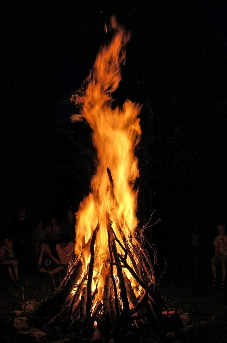 A campfire burning after dark