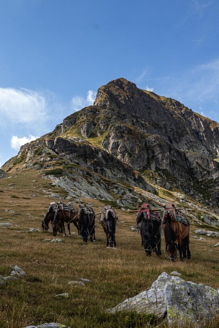 A mountain ridge leading to the summit