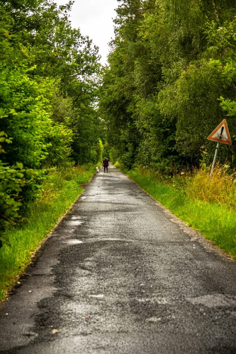 Open highway stretching out of sight
