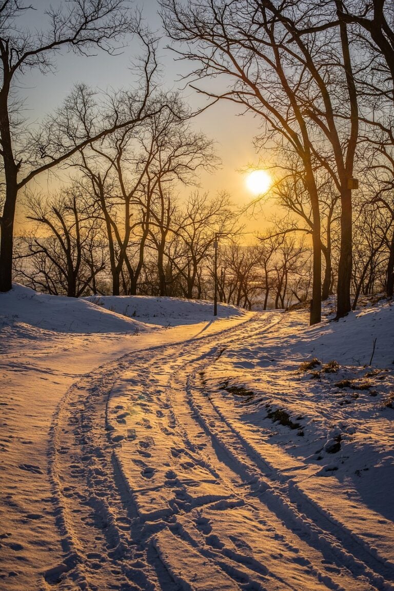 A straight road under open sky