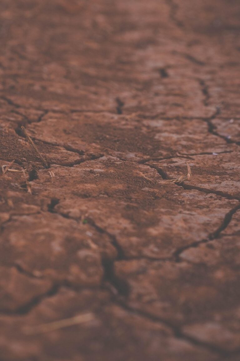 Dry ground cracked open by drought