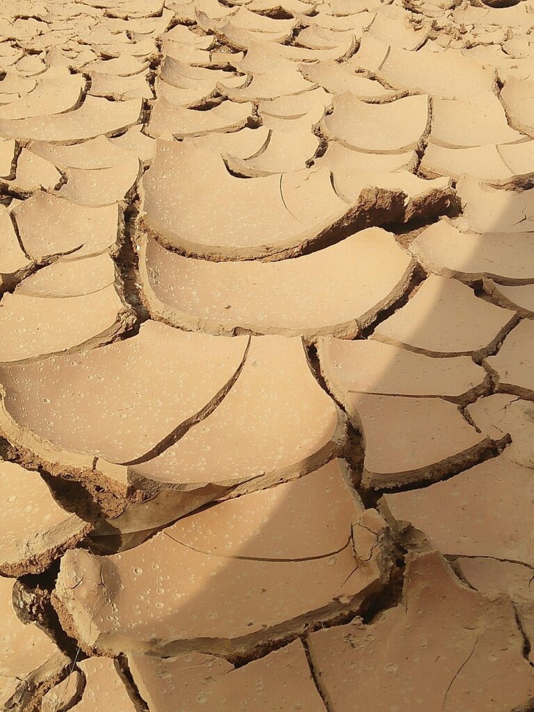 Dry ground cracked open by drought