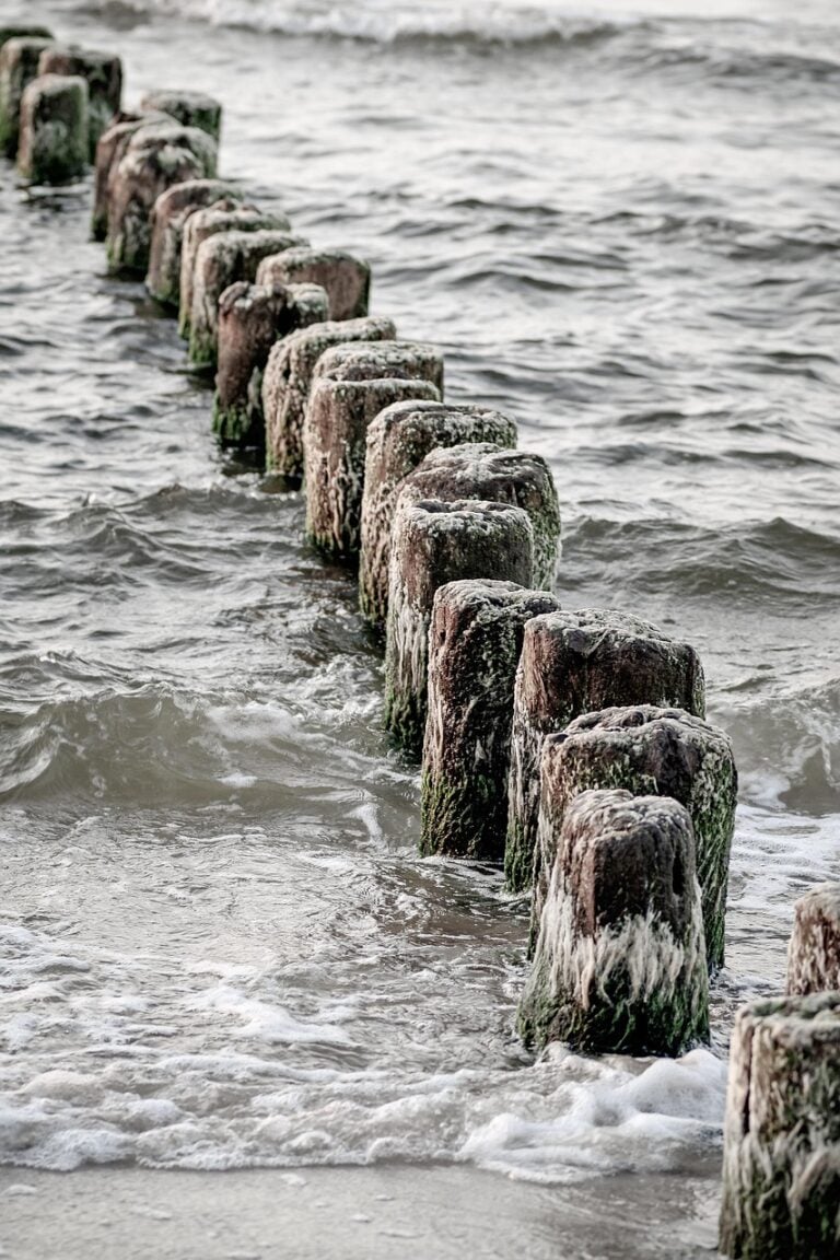 White water in an open channel