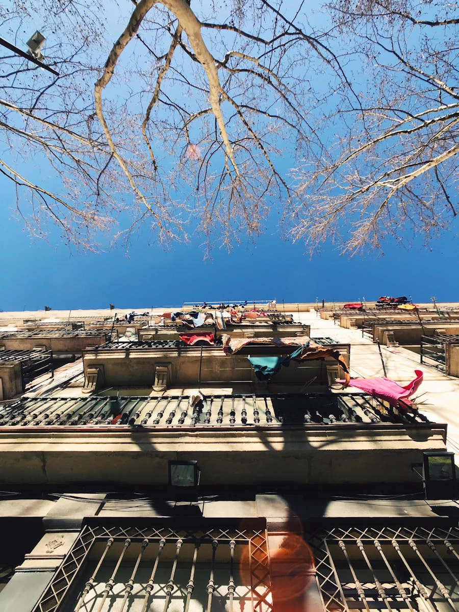 white and brown concrete building under blue sky during daytime Mold in Rental Properties