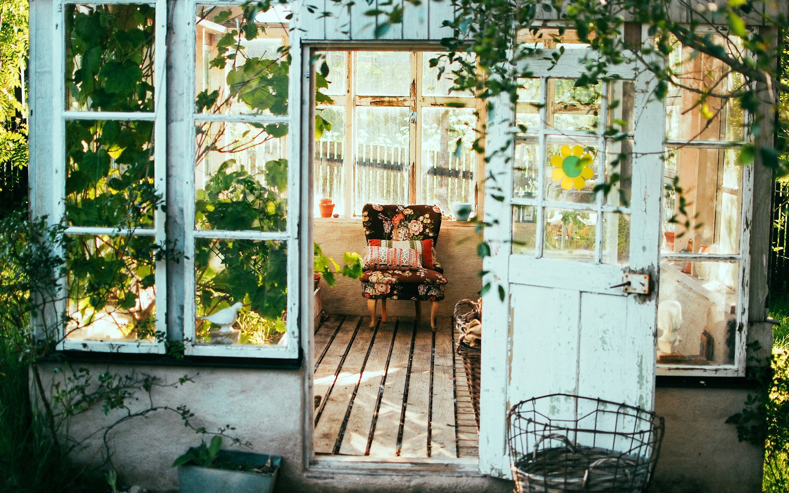 opened door of house - Chemical-Free Sanctuary