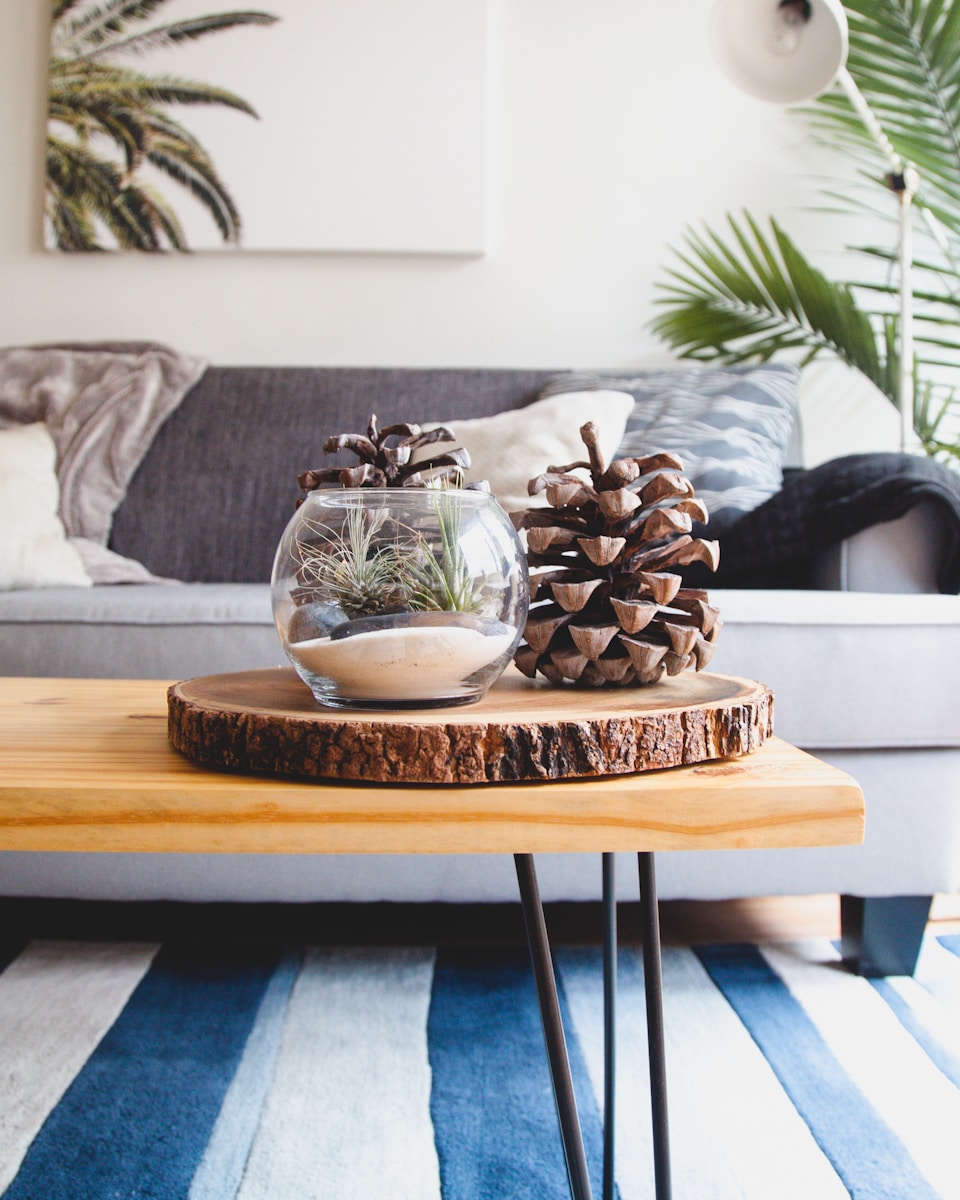 clear fishbowl beside pine cones on brown wooden table Recovering from Mold Exposure