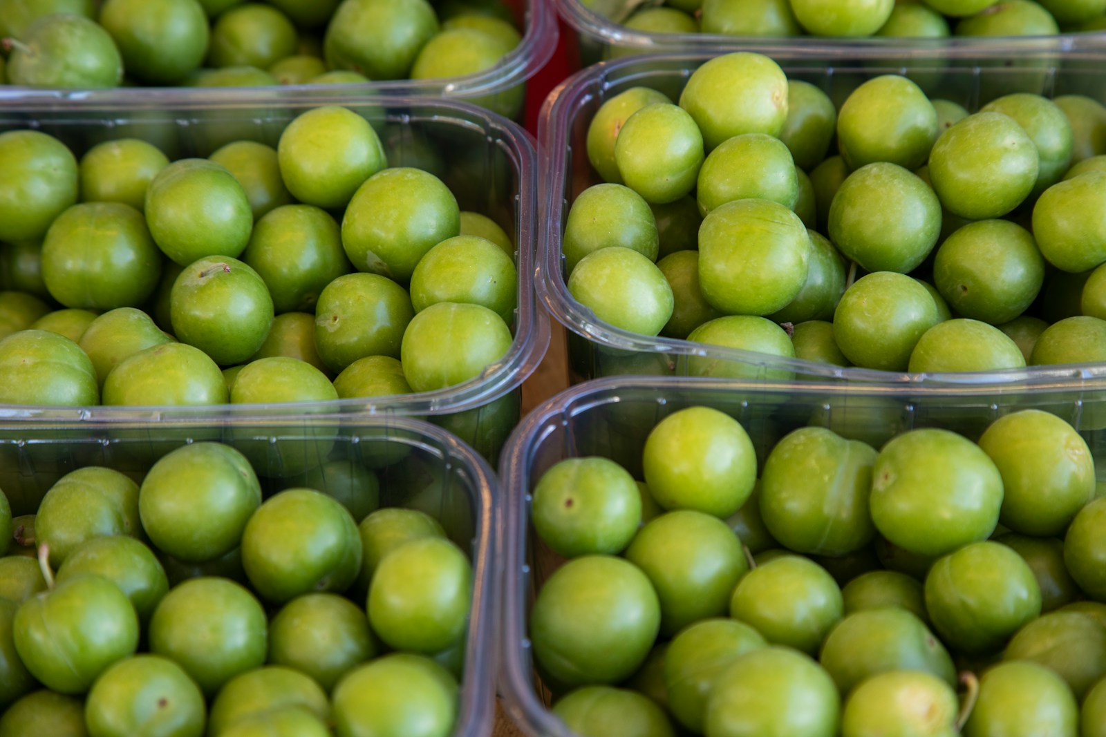 green round fruits in plastic container Macro Nutrient Ratio