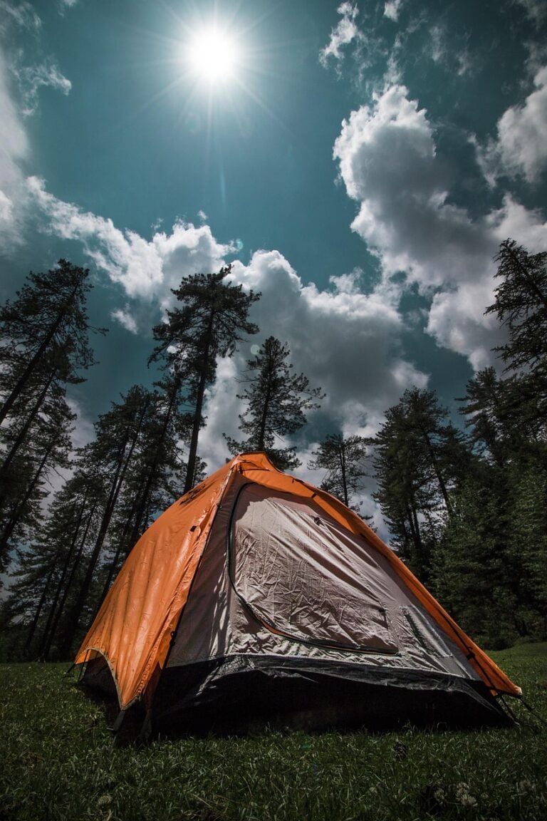 Embers glowing in a night camp
