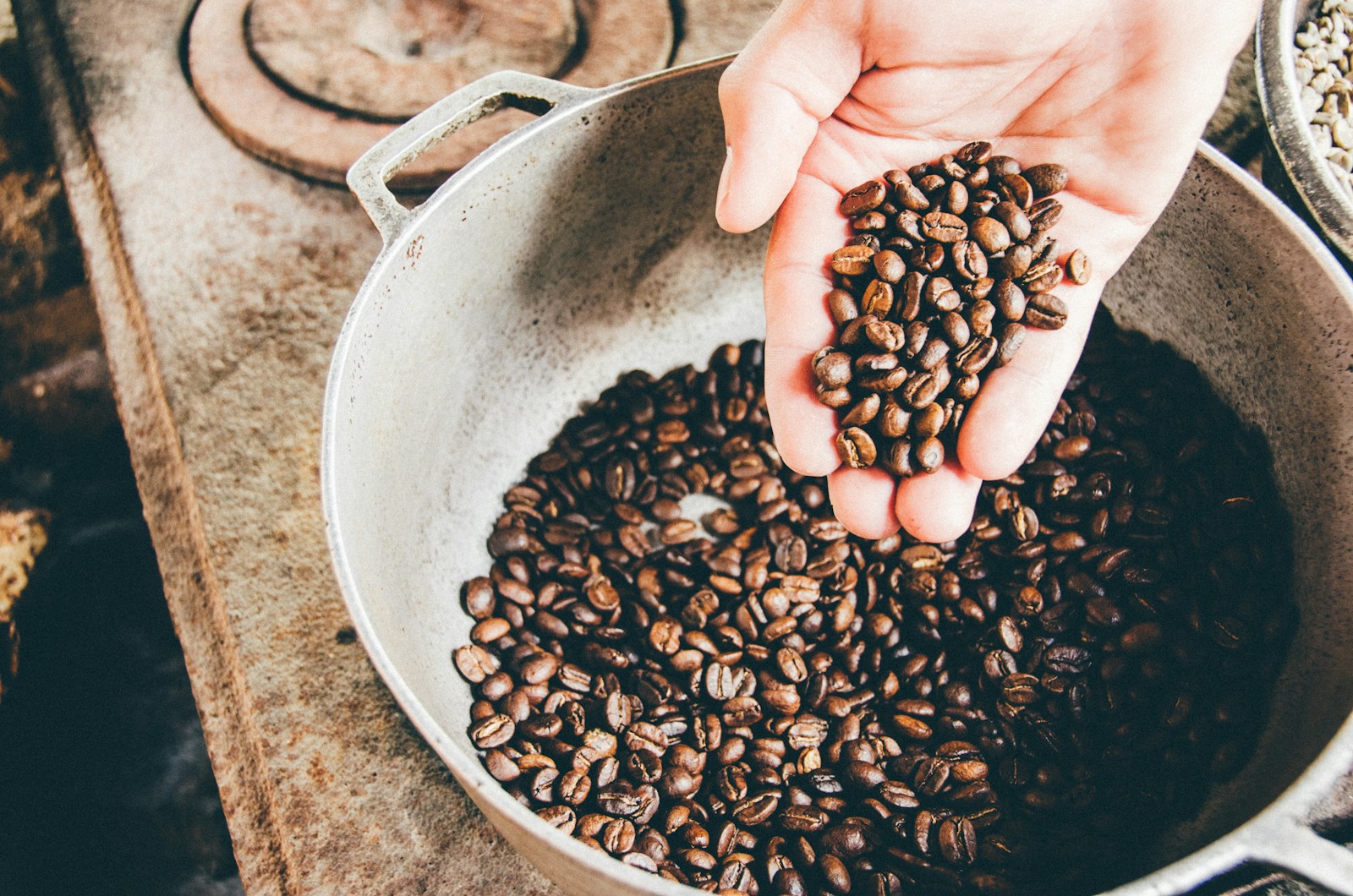 coffee beans on gray steel wok mycotoxins