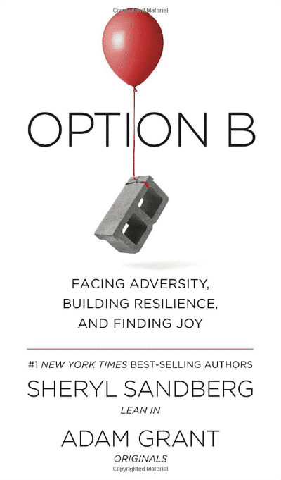 Option B: Facing Adversity, Building Resilience, and Finding Joy