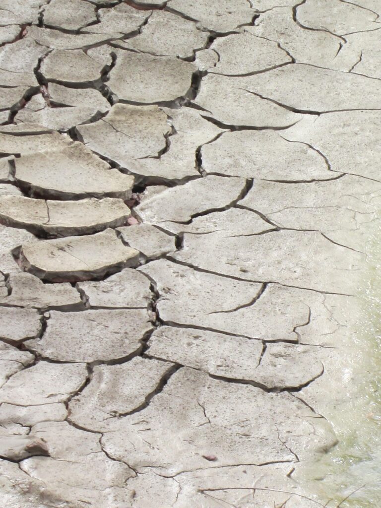 Dry ground cracked open by drought