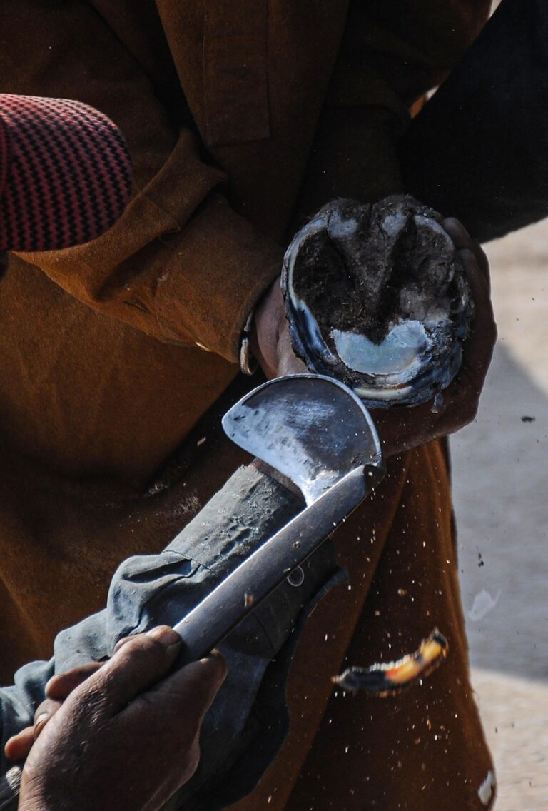 A forge burning at working heat