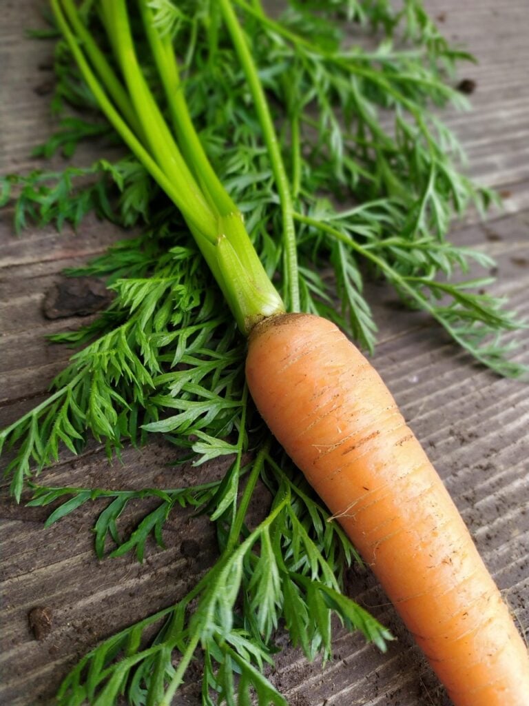 Whole vegetables on a wooden board