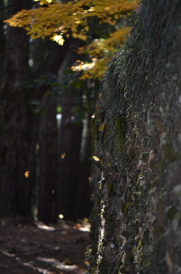 Old stonework worn by weather